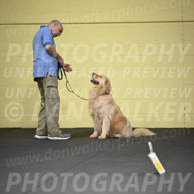 SUN206_0013