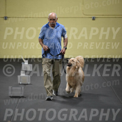 SUN206_0038