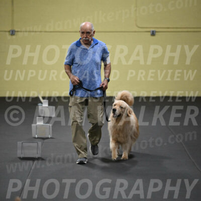SUN206_0039