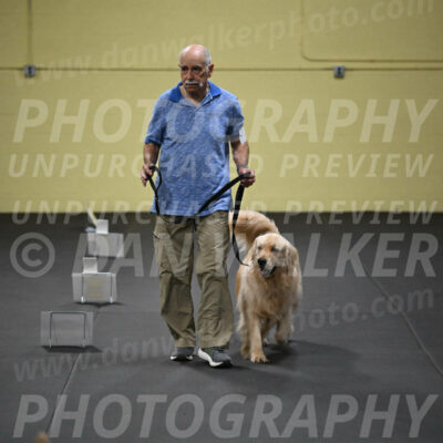 SUN206_0041