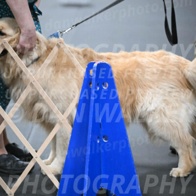 SUN206_0049