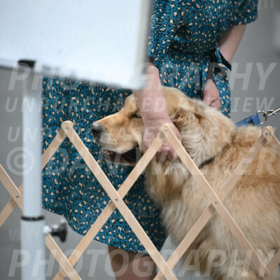 SUN206_0051