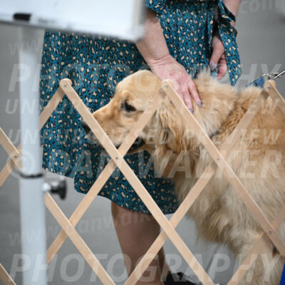 SUN206_0052