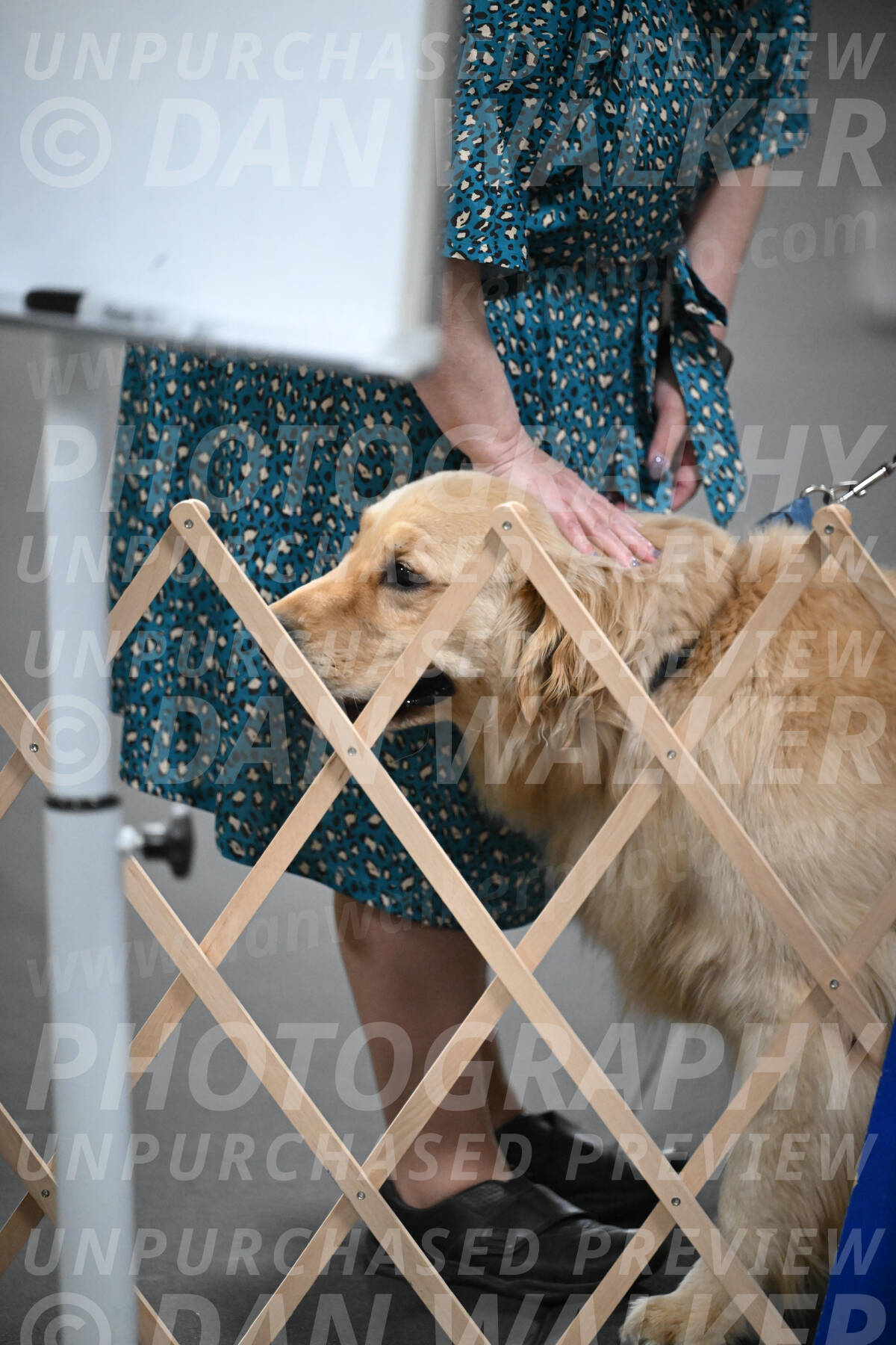 SUN206_0053