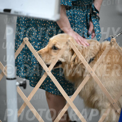 SUN206_0053