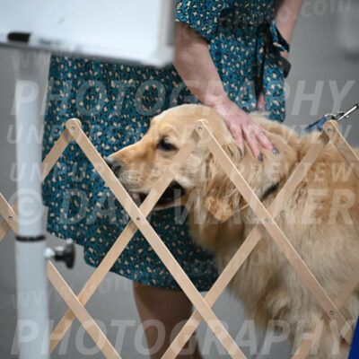 SUN206_0054