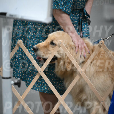 SUN206_0055