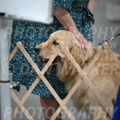 SUN206_0056