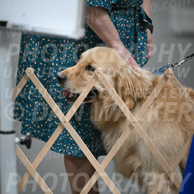 SUN206_0057