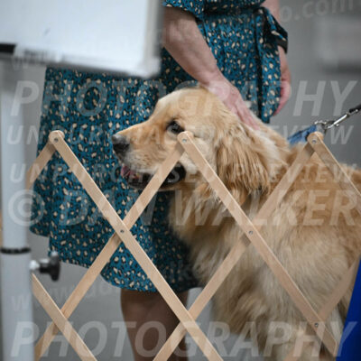 SUN206_0058