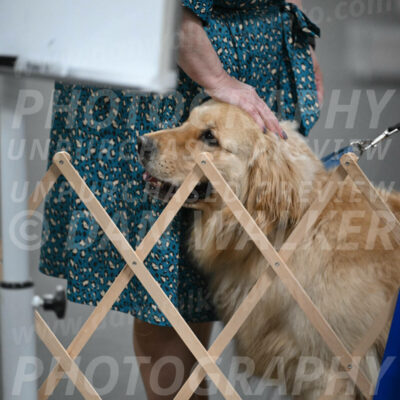 SUN206_0059
