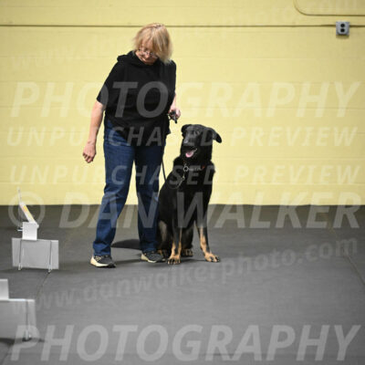 SUN301_0022