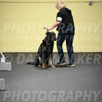 SUN301_0027