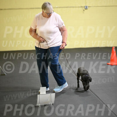 SUN302_0013