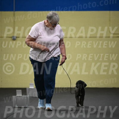 SUN302_0029