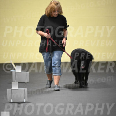 SUN303_0023
