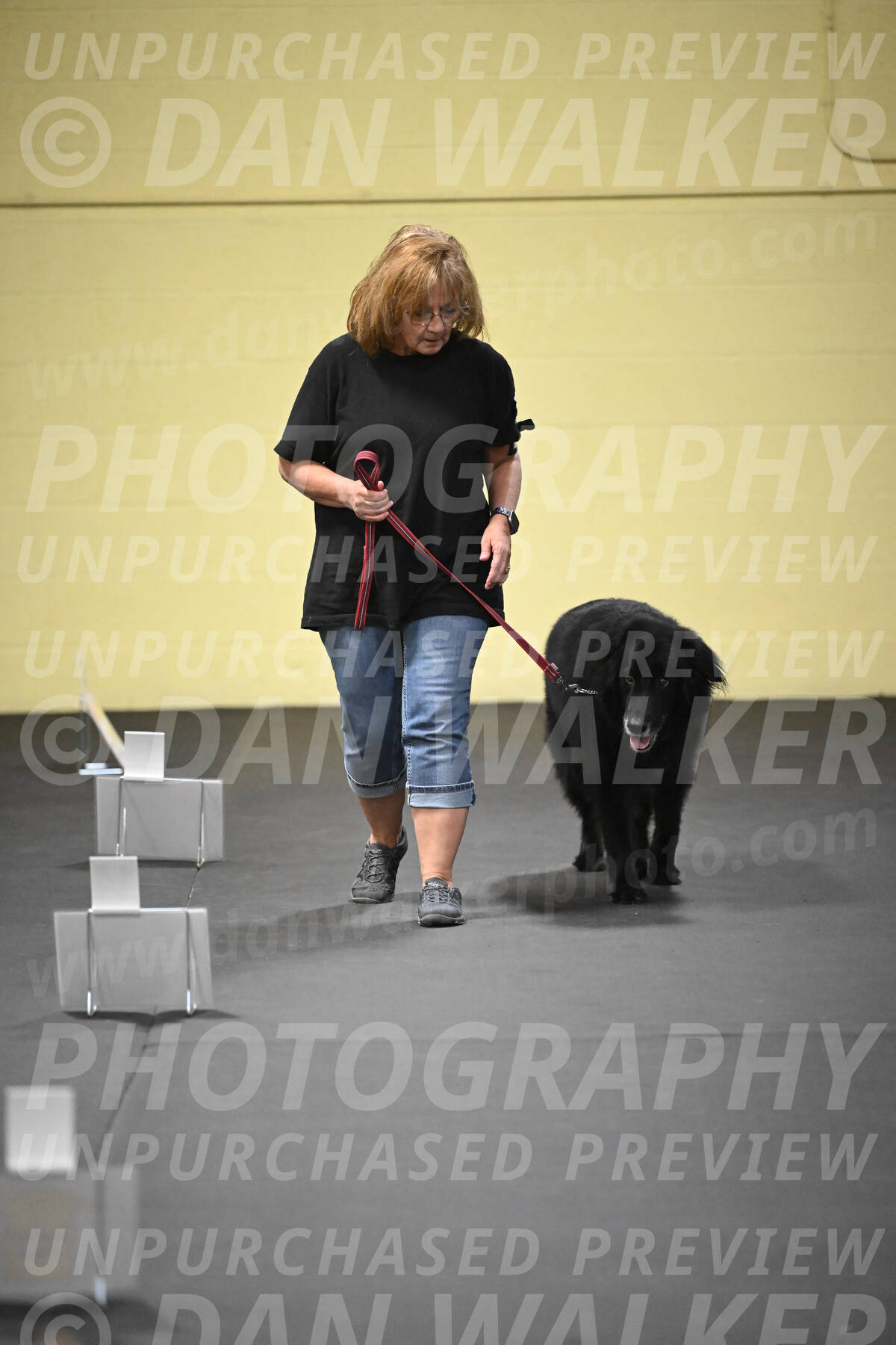 SUN303_0023