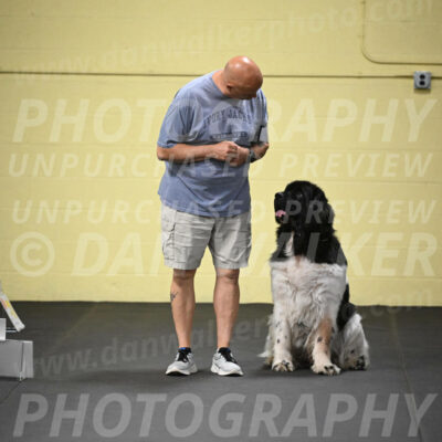 SUN403_0033