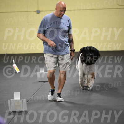 SUN403_0063