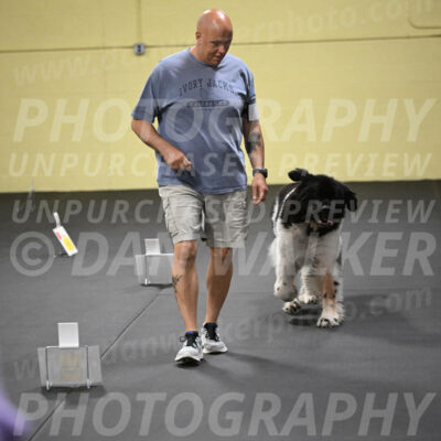 SUN403_0064