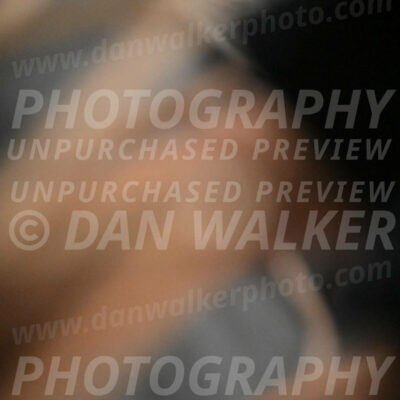SUN404_0009