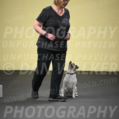 SUN501_0007