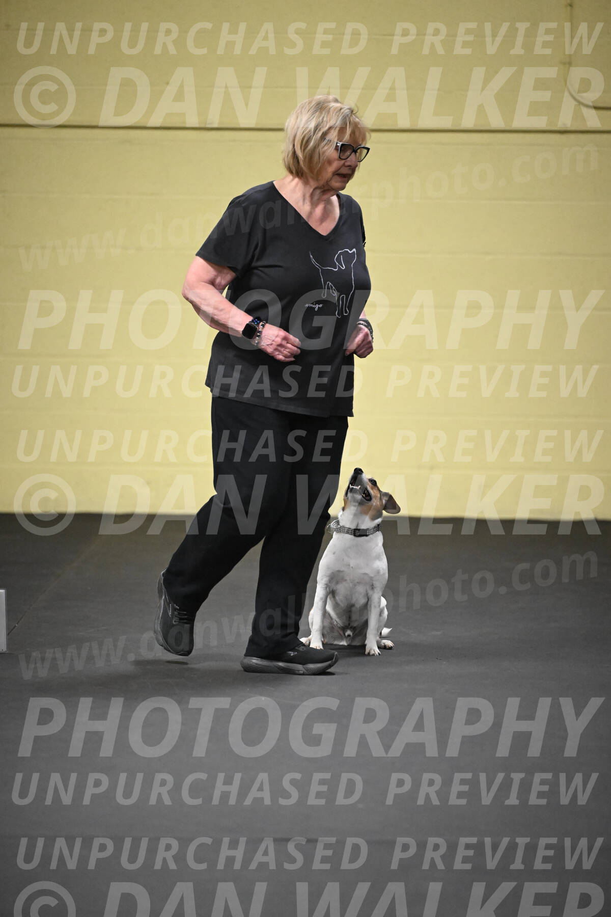 SUN501_0008