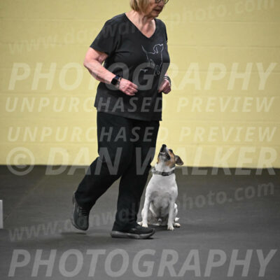 SUN501_0008