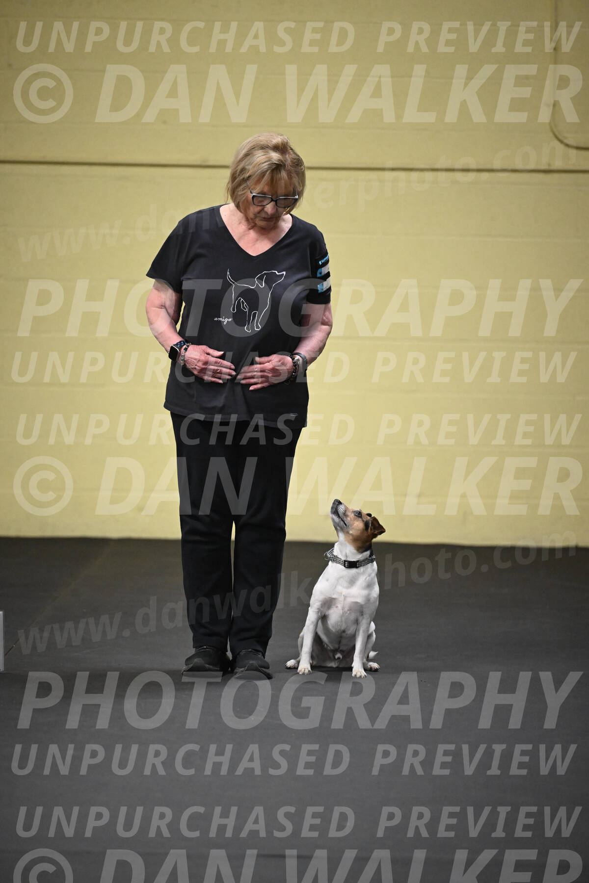 SUN501_0018
