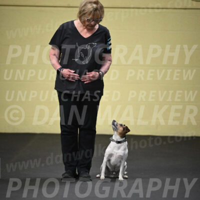 SUN501_0019