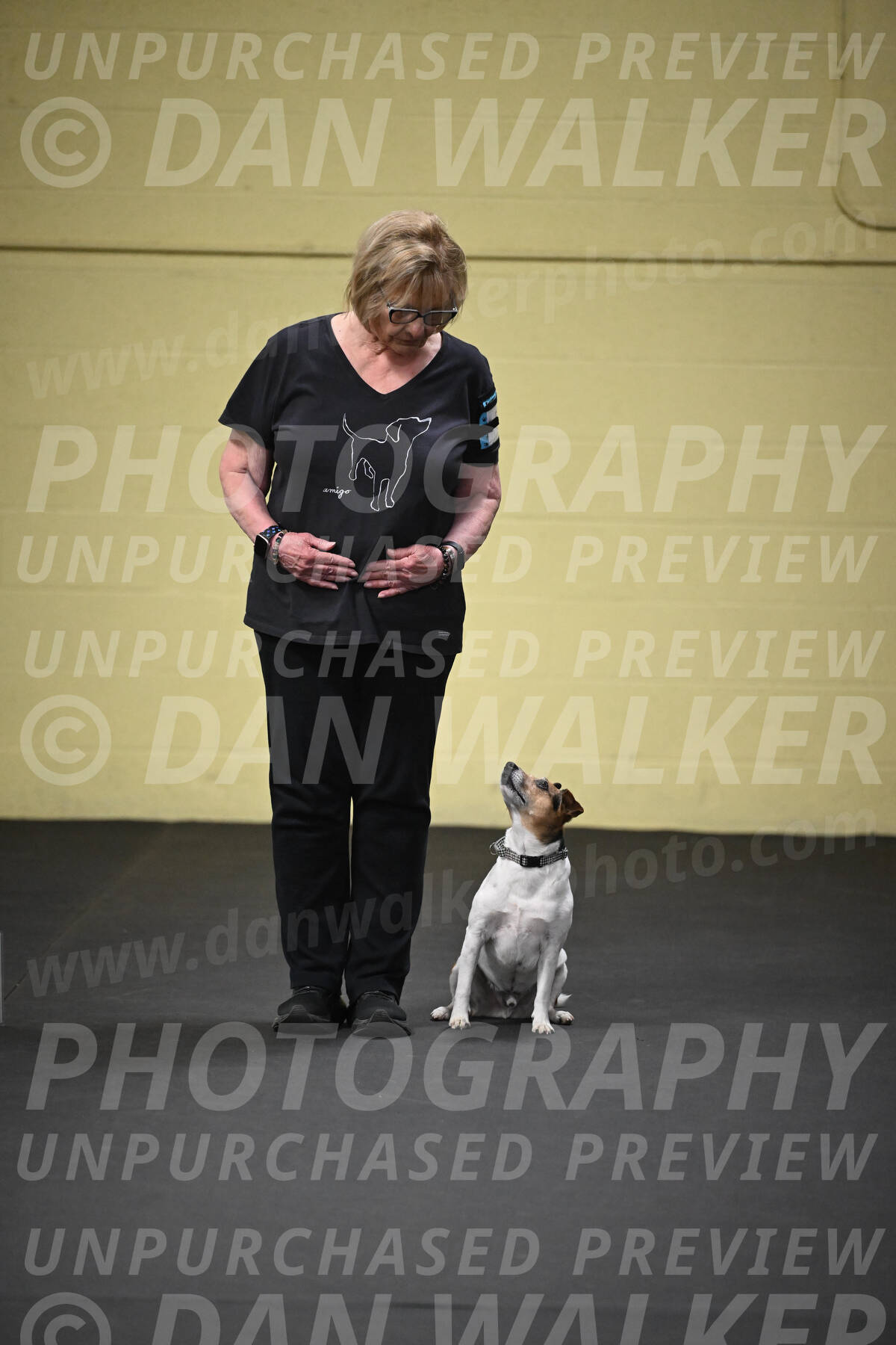 SUN501_0019