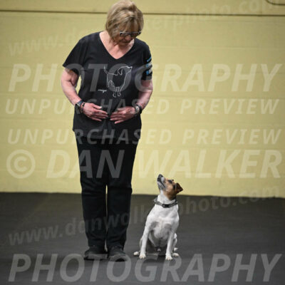 SUN501_0020