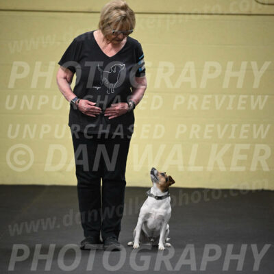 SUN501_0021