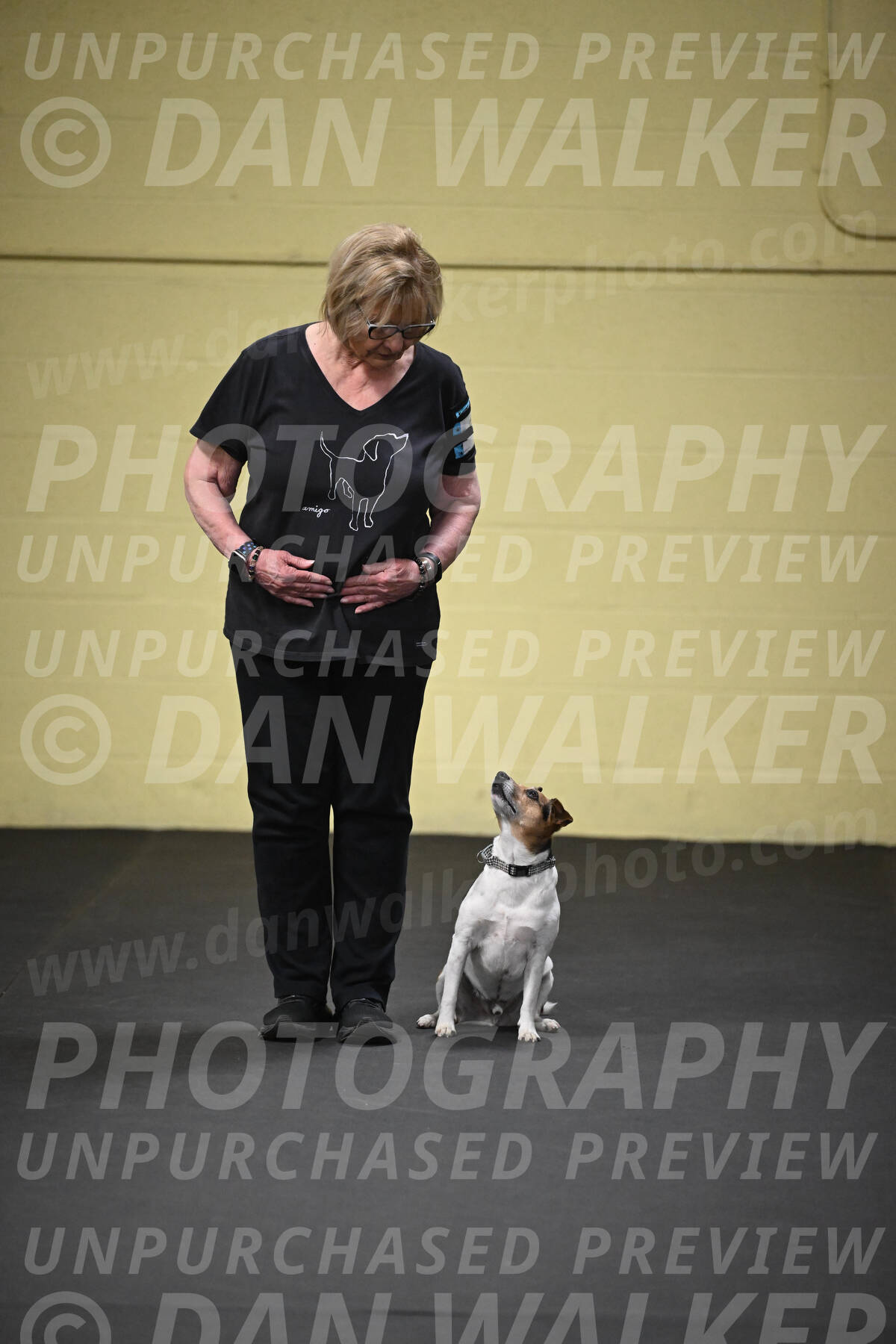 SUN501_0021