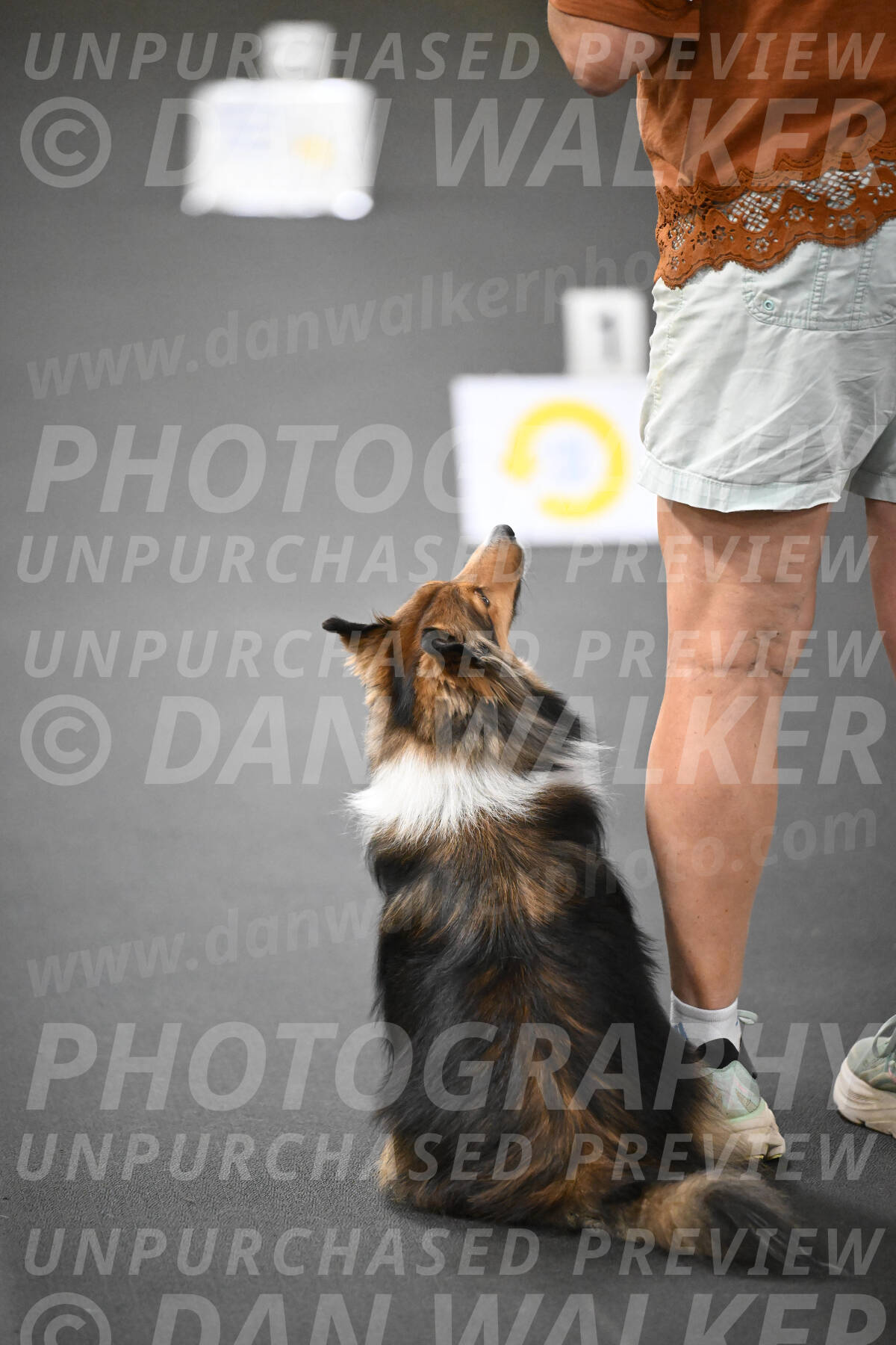 SUN503_0003