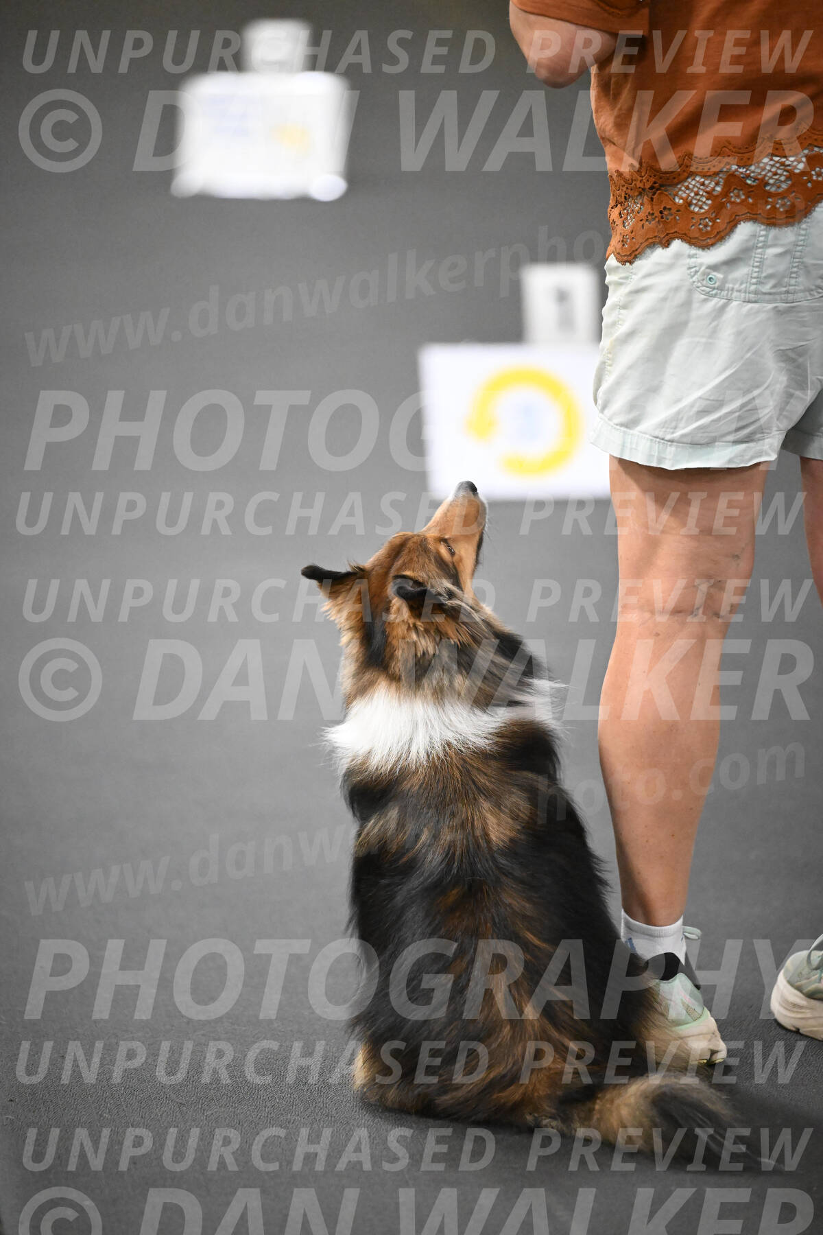 SUN503_0004
