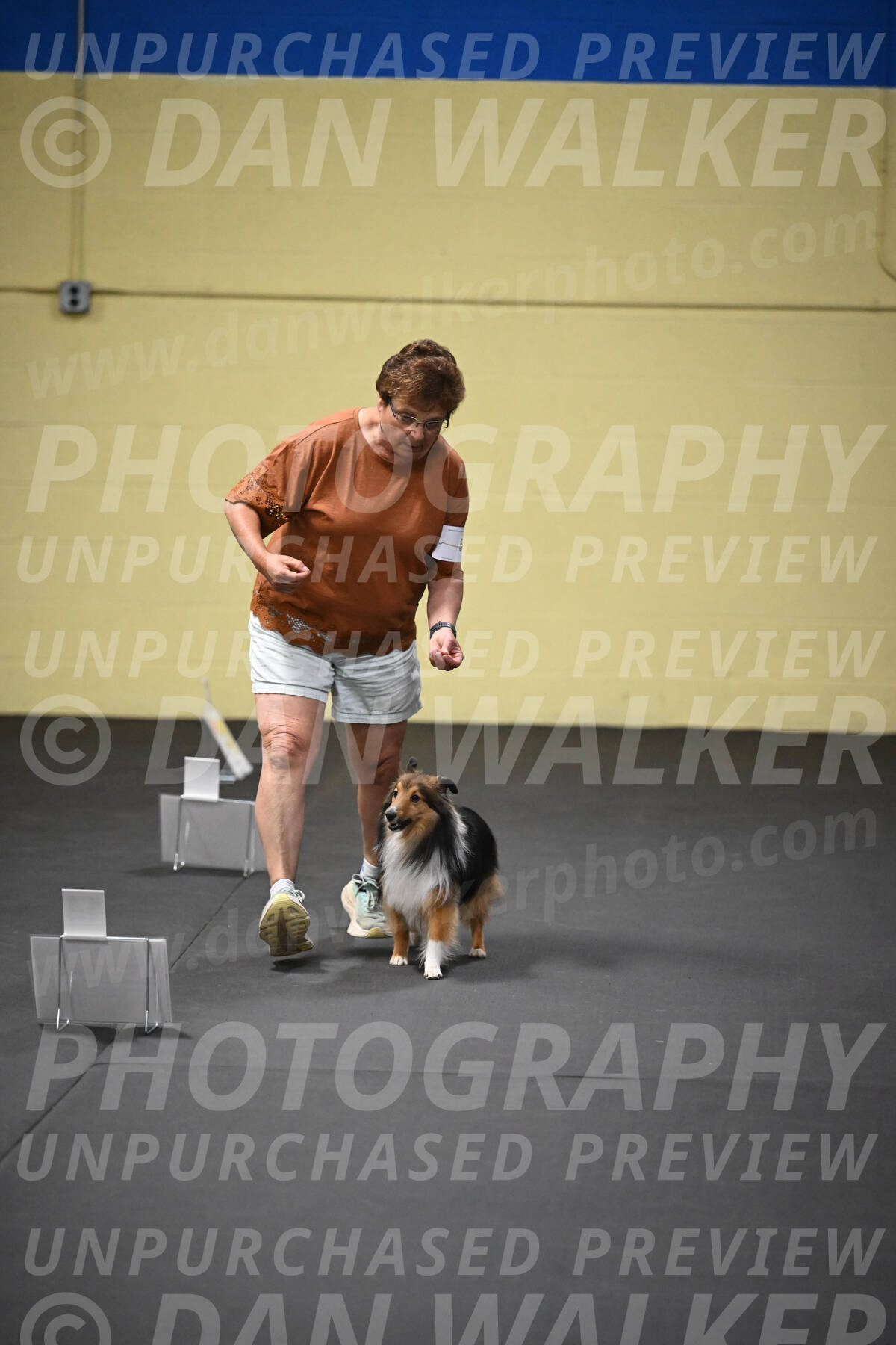 SUN503_0026
