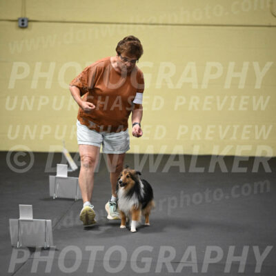 SUN503_0026