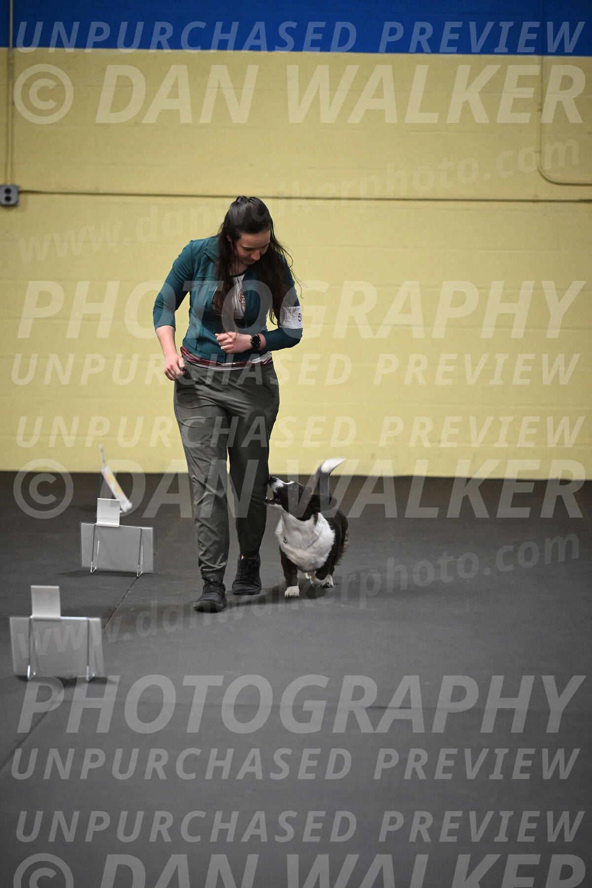 SUN504_0025