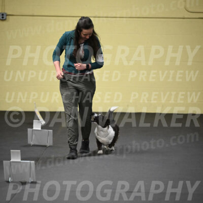 SUN504_0025