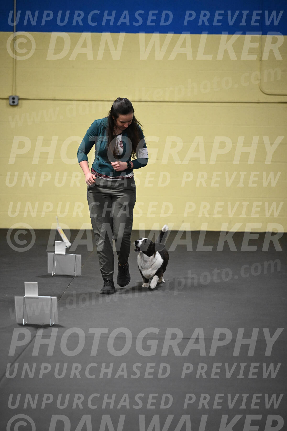 SUN504_0026