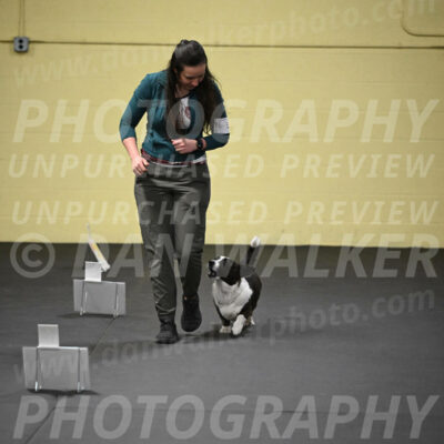 SUN504_0026