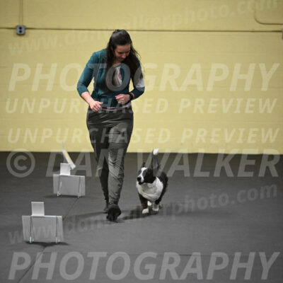 SUN504_0029