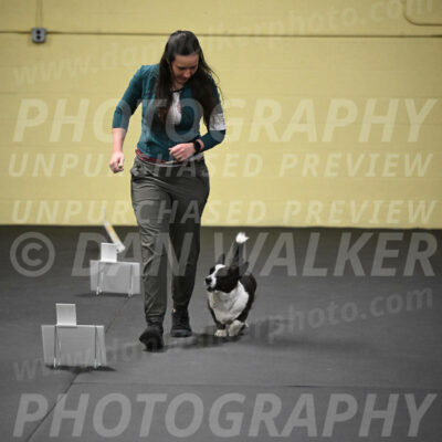 SUN504_0034