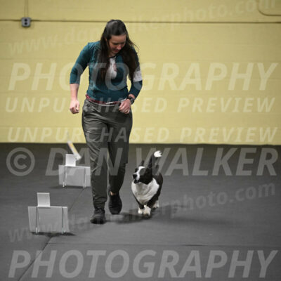 SUN504_0035