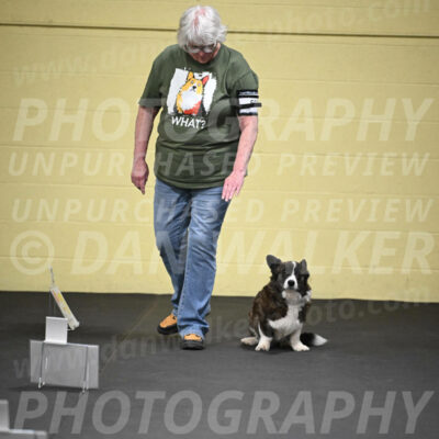 SUN505_0006