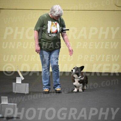 SUN505_0011