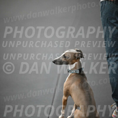 SUN507_0002