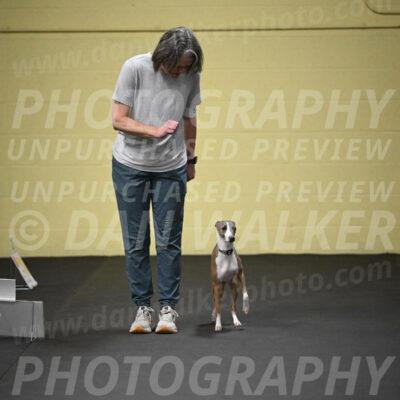SUN507_0029