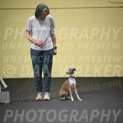 SUN507_0042